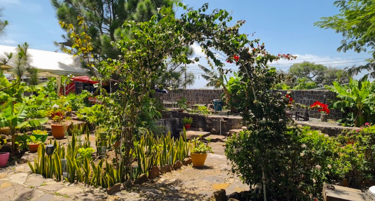 Jardín del parque gastronómico durante el día con vegetación tropical y senderos de piedra.